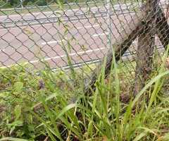 🔥​EXCLUSIVE INVESTMENT OPPORTUNITY!  🏨 - 3