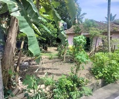 පිළියන්දල - කහතුඩුව ප්‍රදේශයෙන් පදිංචියට හා වගාවට සුදුසු පර්චස් 25.8ක ඉඩමක් විකිණීමට - 4