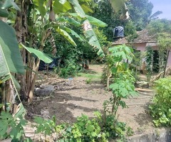 පිළියන්දල - කහතුඩුව ප්‍රදේශයෙන් පදිංචියට හා වගාවට සුදුසු පර්චස් 25.8ක ඉඩමක් විකිණීමට - 6