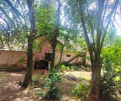 පිළියන්දල - කහතුඩුව ප්‍රදේශයෙන් පදිංචියට හා වගාවට සුදුසු පර්චස් 25.8ක ඉඩමක් විකිණීමට - 8