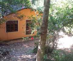 Panoramic Victoria Lake View Land for Sale 🏞️ - Theldeniya, Kandy ​ - 4