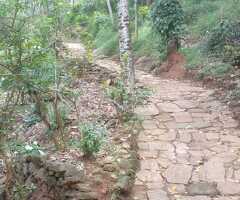 Panoramic Victoria Lake View Land for Sale 🏞️ - Theldeniya, Kandy ​ - 5