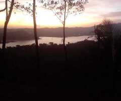 Panoramic Victoria Lake View Land for Sale 🏞️ - Theldeniya, Kandy ​ - 9