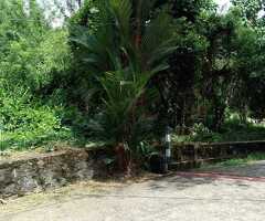 🇱🇰 *For Sale – Prime 12.7 Perch Elevated  Land in Horana’s Prestigious Green Residencies* - 2