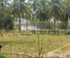 🔑 *For Sale – 93 Perches of Lakefront Land in Inamaluwa, Dambulla*