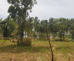 🔑 *For Sale – 93 Perches of Lakefront Land in Inamaluwa, Dambulla* - 6