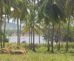 🔑 *For Sale – 93 Perches of Lakefront Land in Inamaluwa, Dambulla* - 8