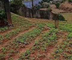 🇱🇰 *For Sale – Prime 27 Perch Property Along Nuwara Eliya Road, Kuda Oya 🌄*