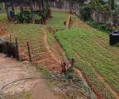 🇱🇰 *For Sale – Prime 27 Perch Property Along Nuwara Eliya Road, Kuda Oya 🌄* - 2