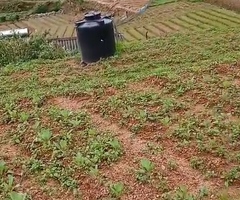 🇱🇰 *For Sale – Prime 27 Perch Property Along Nuwara Eliya Road, Kuda Oya 🌄* - 3