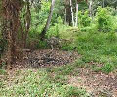 ​🔥 Prime Investment Opportunity: