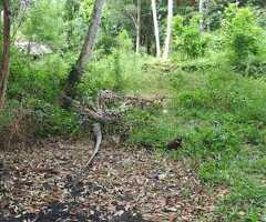 ​🔥 Prime Investment Opportunity: - 5