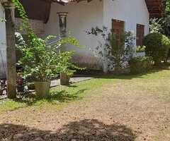 🔑 Spacious 80-Perch Land with a House for Sale in Minuwangoda Town - 6