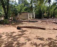 ​🏡 EMBILIPITIYA PRIME LAND  ​URGENT SALE! 🚨 - 4