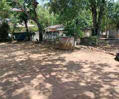 ​🏡 EMBILIPITIYA PRIME LAND  ​URGENT SALE! 🚨 - 5