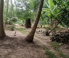 Commercial/Investment Land for Sale🔥 - 3