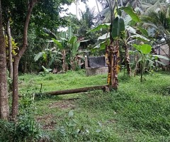 Commercial/Investment Land for Sale🔥 - 5