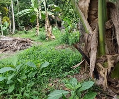 Commercial/Investment Land for Sale🔥 - 6