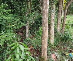 Commercial/Investment Land for Sale🔥 - 7