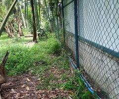 Commercial/Investment Land for Sale🔥 - 8