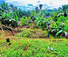 🔑Prime 14.3 perches Land for Sale in Panagoda (Homagama) - 3