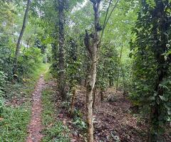 ​🚨 URGENT SALE! - 4