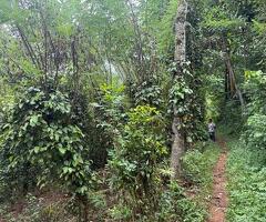 ​🚨 URGENT SALE! - 5