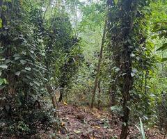 ​🚨 URGENT SALE! - 6