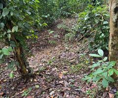 ​🚨 URGENT SALE! - 7