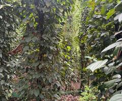 ​🚨 URGENT SALE! - 8