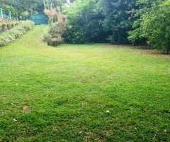 Land for sale in thalawathugoda/kalalgoda - 4