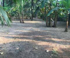 ​🌟 Residential Land for Sale