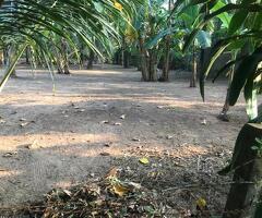 ​🌟 Residential Land for Sale - 2
