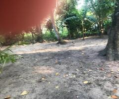 ​🌟 Residential Land for Sale - 3