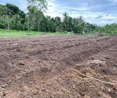 🔥​s unique investment opportunity in a peaceful natural setting awaits you!