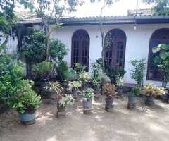 🇱🇰 For Sale – Prime 11.2 Perch Land and House in Borella..