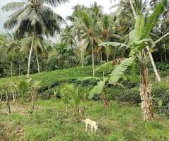 🇱🇰 For Sale – Prime 54 Perch Elevated Land in Galle - 3