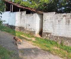 Land for sale in pannipitiya/amuettamulla