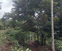 An Ultra Rare Investment Opportunity! 🌟 - 2