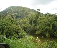 An Ultra Rare Investment Opportunity! 🌟 - 4