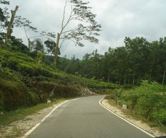 An Ultra Rare Investment Opportunity! 🌟 - 6