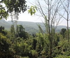 An Ultra Rare Investment Opportunity! 🌟 - 7