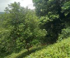 An Ultra Rare Investment Opportunity! 🌟 - 9