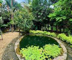 🇱🇰 For Sale – Prime 12.7 Perch Elevated  Land and House in Horana’s Perth Paradise
