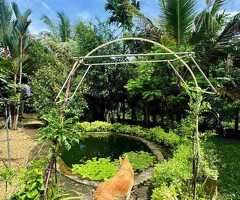 🇱🇰 For Sale – Prime 12.7 Perch Elevated  Land and House in Horana’s Perth Paradise - 5