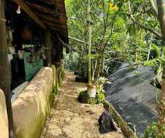 🇱🇰 For Sale – Prime 12.7 Perch Elevated  Land and House in Horana’s Perth Paradise - 9