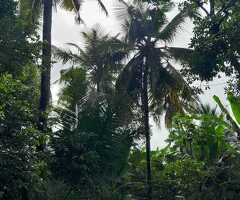 Land for sale in gampaha/miriswaththa(yakkala) - 9