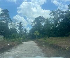 Land for sale in minuwangoda/dewalapola