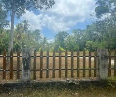 Land for sale in minuwangoda/dewalapola - 2