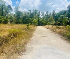 Land for sale in minuwangoda/dewalapola - 3